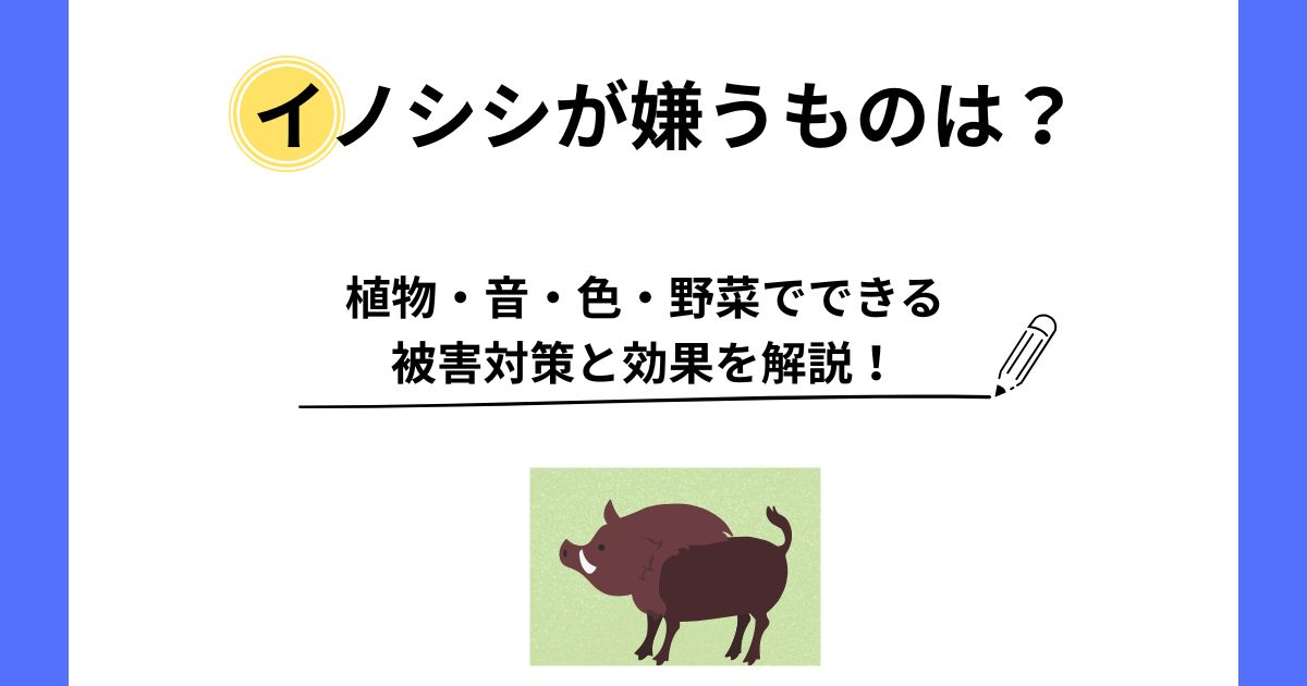 イノシシが嫌うものは？植物・音・色・野菜でできる被害対策と効果を解説！ | 虫と獣のトラブルガイド