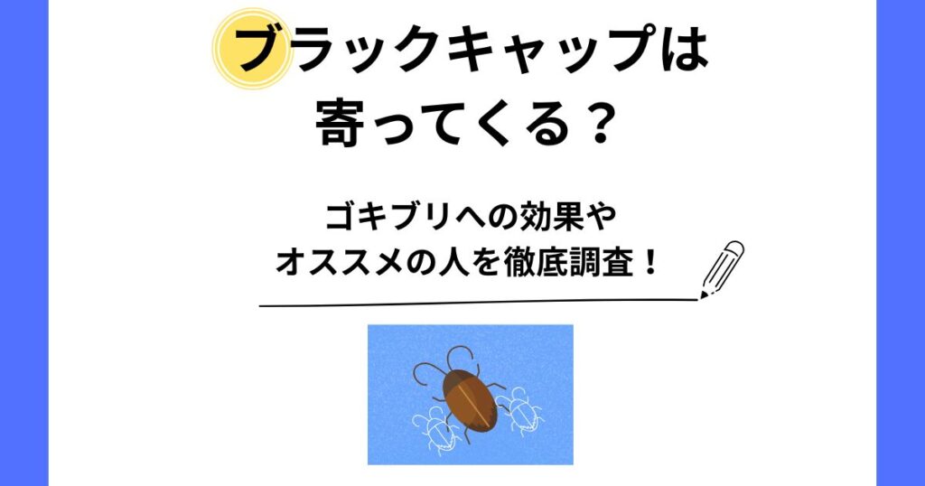 ブラックキャップ 寄ってくる