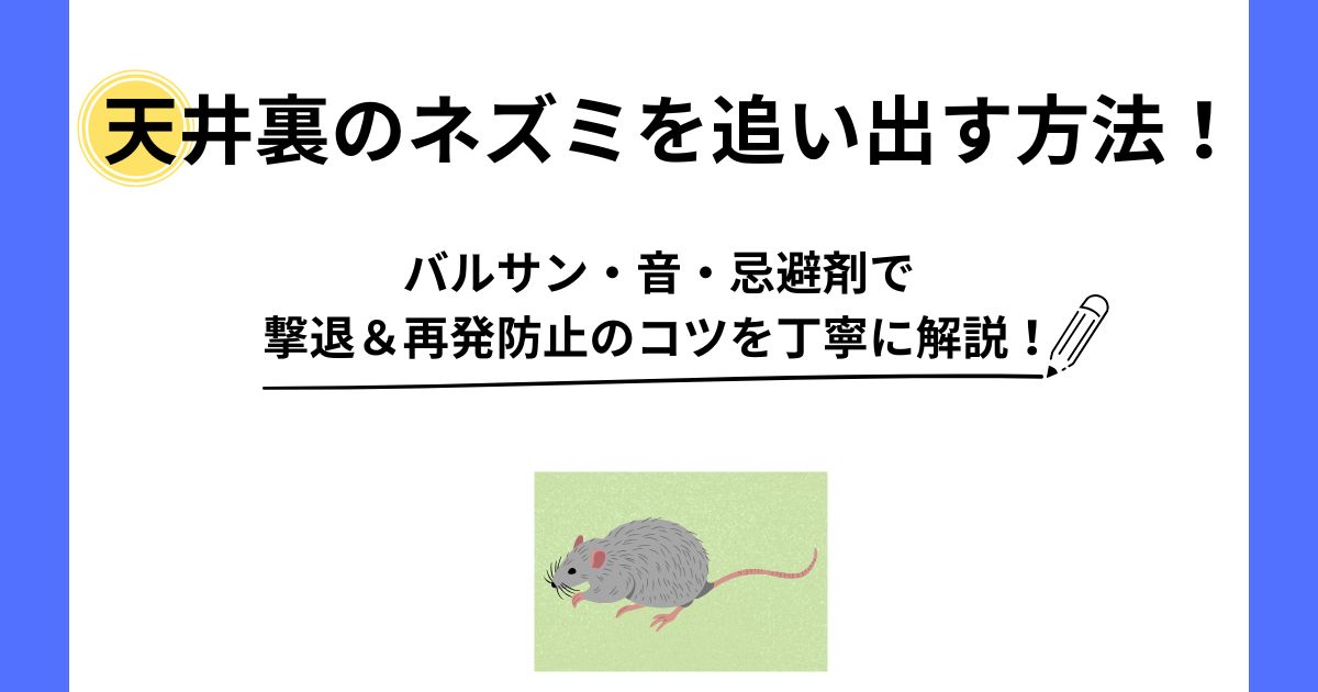 天井裏のネズミを追い出す方法