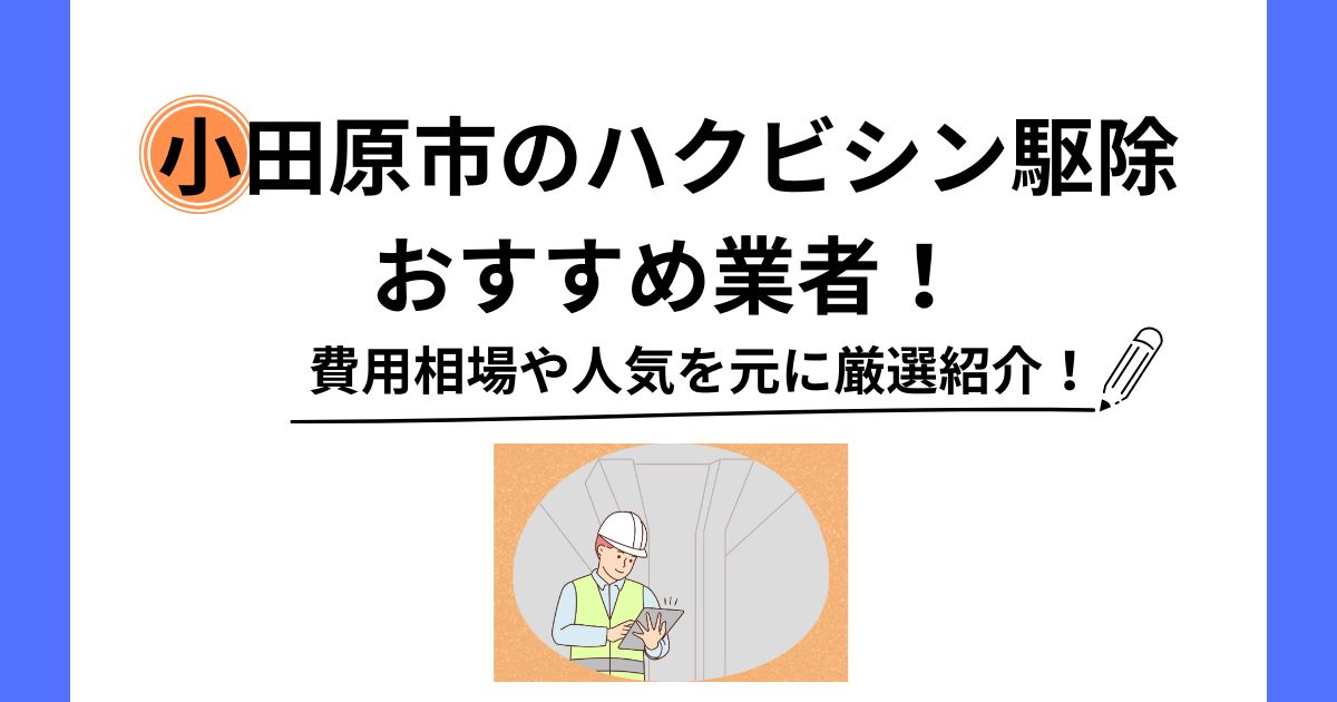 小田原市 ハクビシン 駆除