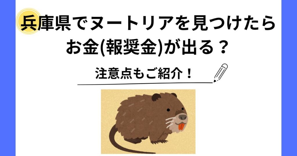 ヌートリア 見つけ たら お金 兵庫県