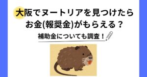 ヌートリア 見つけたら お金 大阪