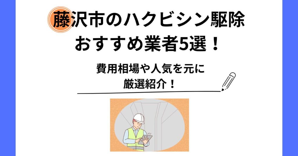 ハクビシン 駆除 藤沢市