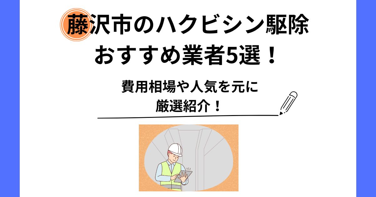 ハクビシン 駆除 藤沢市