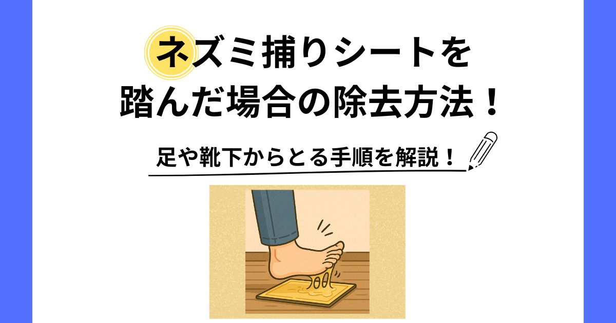 ネズミ捕りシート 踏んだ