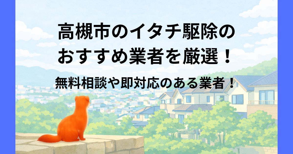 高槻市 イタチ駆除