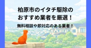 柏原市 イタチ駆除