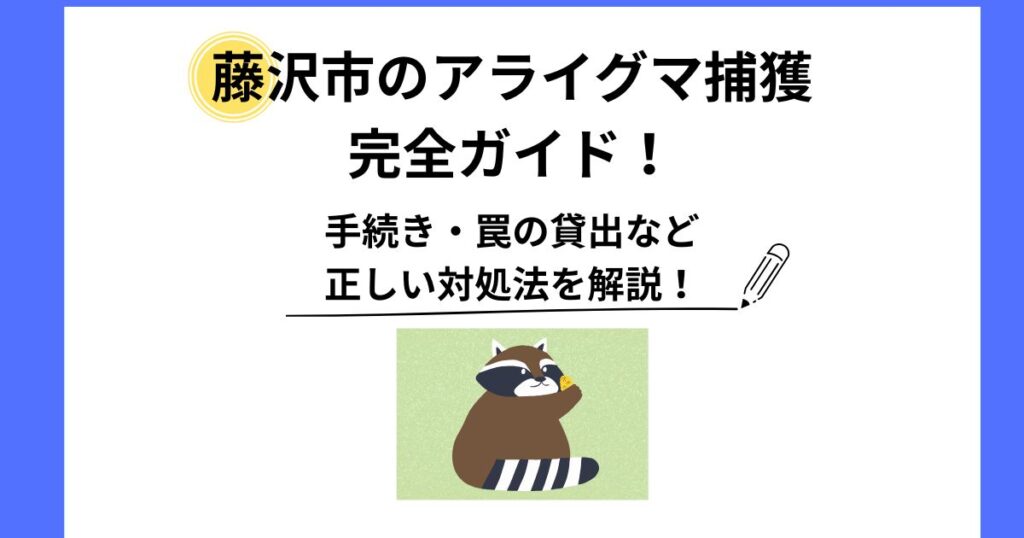 藤沢市 アライグマ 捕獲