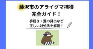 藤沢市 アライグマ 捕獲